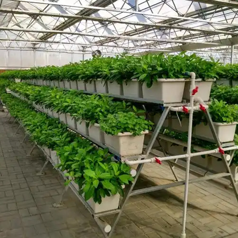 驻马店市植物工厂种植槽 - 排名